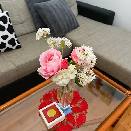 Mandic With Parking 아파트